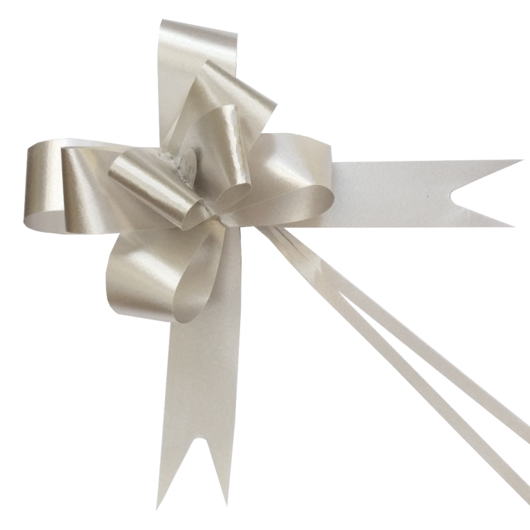 Cinta de regalo plata